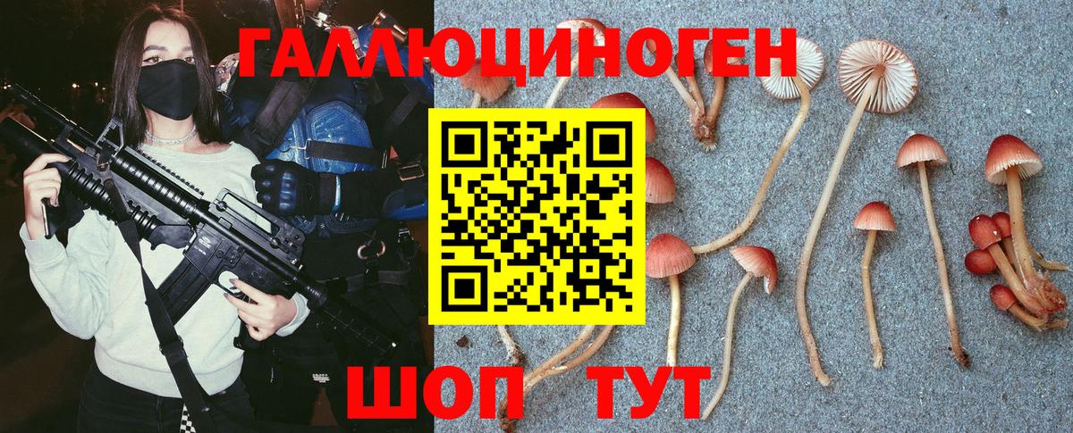 Пугачёв  Псилоцибиновые грибы MAGIC MUSHROOMS  Вход с VPN  Псилоцибиновые грибы Cubensis 