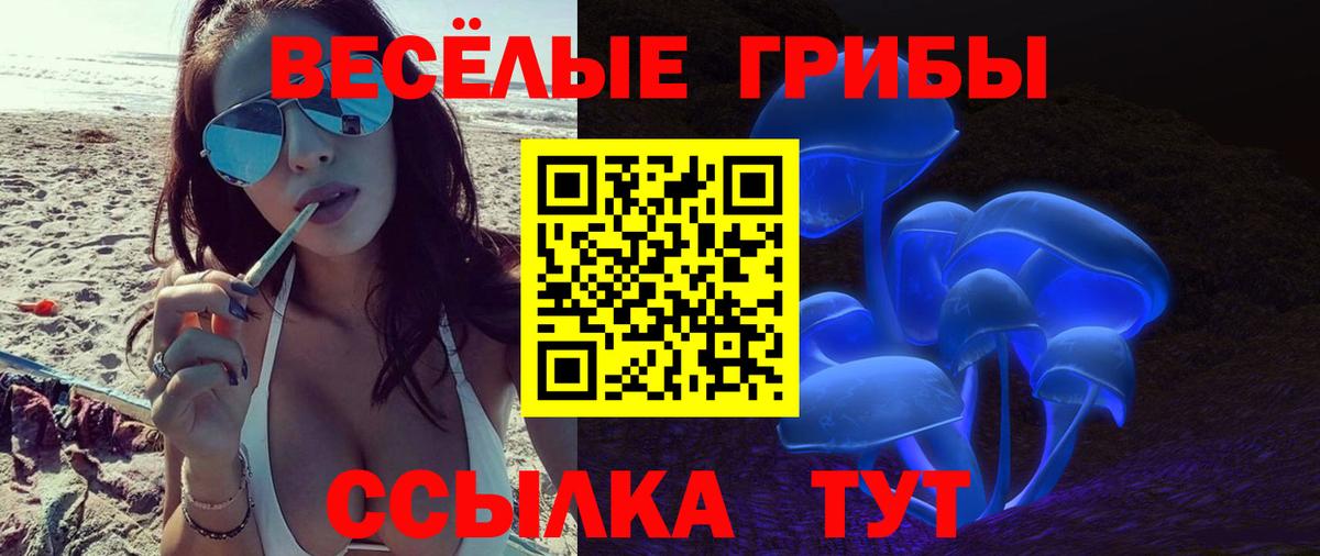 Галлюциногенные грибы мицелий Пугачёв